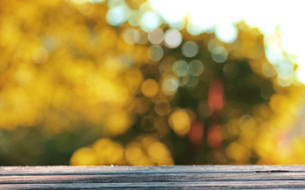 istock background table wooden autumn outdoor bokeh 947162632