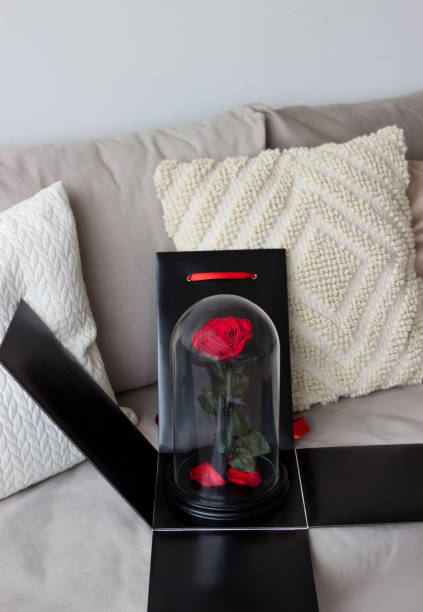 istock Red rose in a black box as a gift, a durable rose in a flask. Preserved 947162974