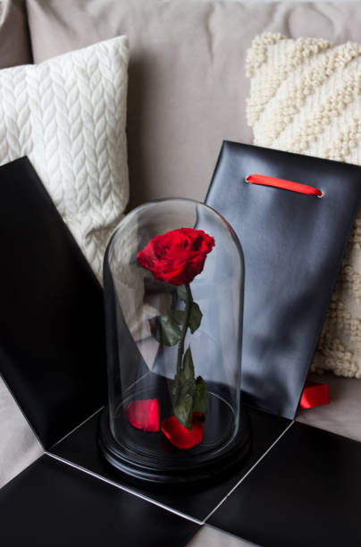 istock Red rose in a black box as a gift, a durable rose in a flask. Preserved 947163084