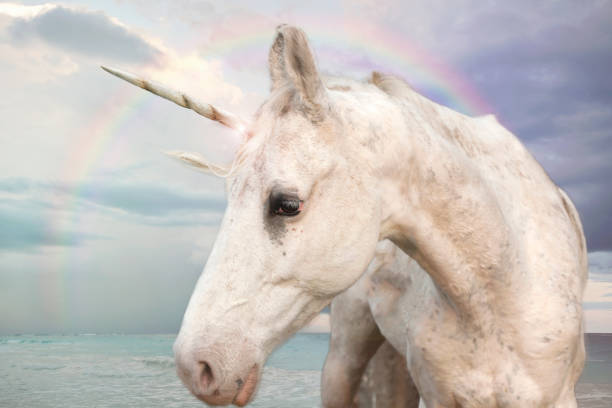 istock Photo Realistic Unicorn 947163750