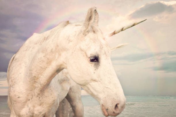 istock Photo Realistic Unicorn 947163810
