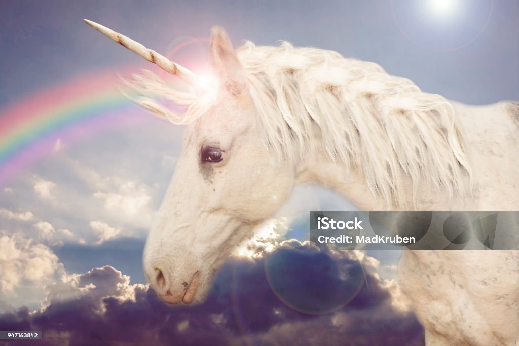 Unicornio - Foto de stock de Unicornio libre de derechos