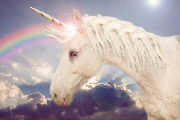 Unicorn Unicorn in the rainbow sky unicorn stock pictures, royalty-free photos & images