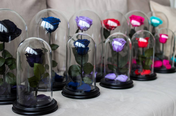 istock Several roses in a flask. Long-lasting rose. Preserved 947163946