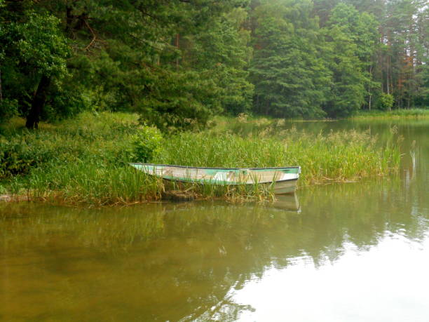 istock Abandoned boat in the forest 947171232