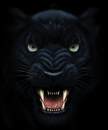 Angry panther face in darkness. Digital painting.