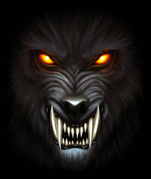 Werewolf Portrait Stock Illustration - Download Image Now - Wolf, Eye, - Fictional Character iStock