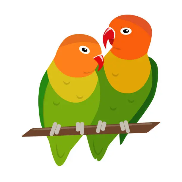 Vector illustration of Lovebird parrots icon in flat style