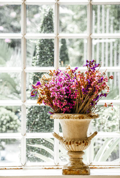 istock Dry pink flowers 947189642