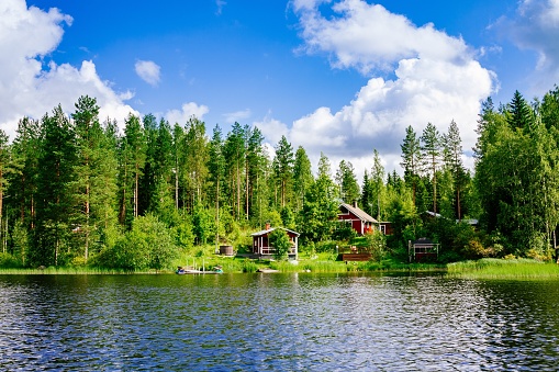 A traditional Finnish wooden cottage with a sauna and a barn on the lake shore. Summer landscape. Rural Finland.