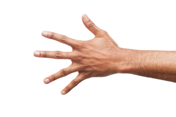istock Black hand showing number five isolated 947221528