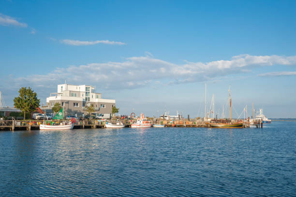 A peaceful maritime scene in a Denmark harbor, where sailboats and motorboats gently float on the calm water.