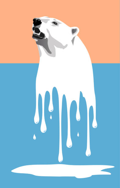 Melting polar bear Global warming may be a disaster for polar bears, vector climate protest stock illustrations