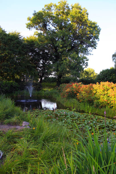 istock Fountain in pond and water lilies 947234140