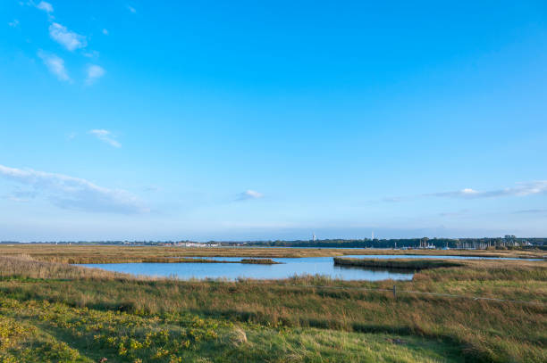 istock Nature reserve Graswarder in Heiligenhafen 947238834