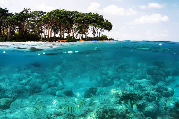istock Above and below sea surface near tropical island beach 947251250