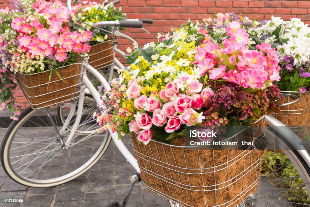 Hermosas Flores De Colores En Una Canasta De Bicicleta Vintage Blanco Foto  de stock y más banco de imágenes de Cesta de bicicleta - iStock