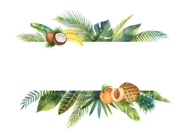 Watercolor vector banner tropical leaves and fruits isolated on white background. Watercolor banner tropical leaves and branches isolated on white background. Illustration for design wedding invitations, greeting cards, postcards. Spring or summer flowers with space for your text. pineapple beach stock illustrations