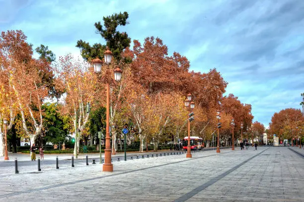 The road following the channel, Canal de Alfonso XIII. During winter it is colored red