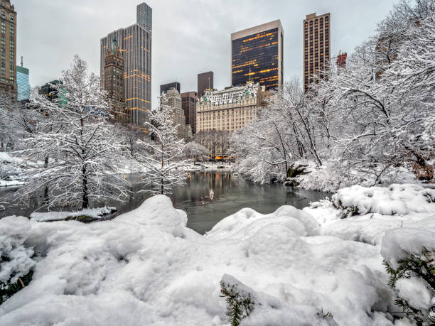 istock Central Park, New York City snow 947274916