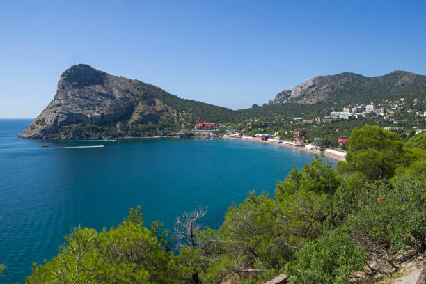 istock Relict forest on the Black Sea coast. 947278774