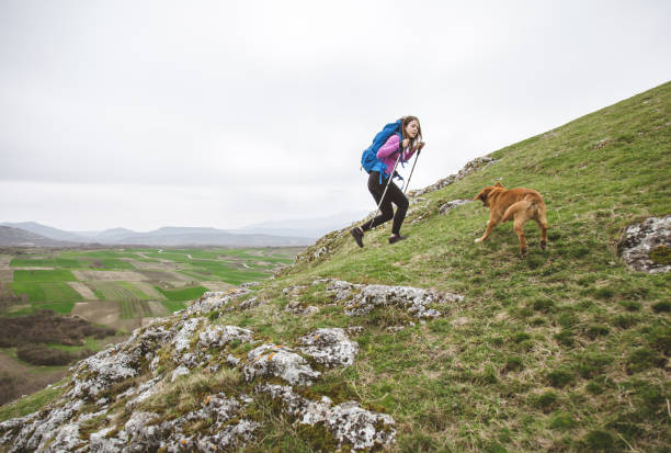 istock Smiling hiker in the mountains 947289968