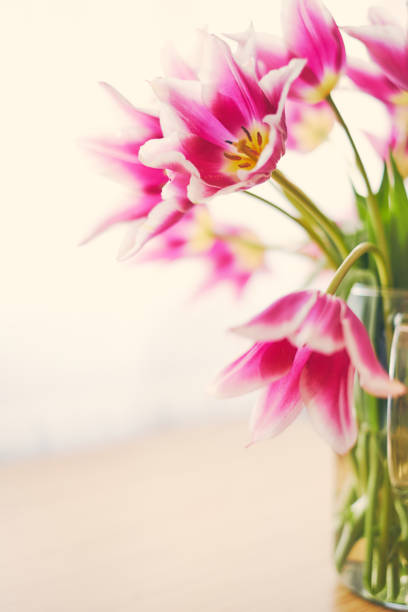 istock Pink tulips in a vase 947303872