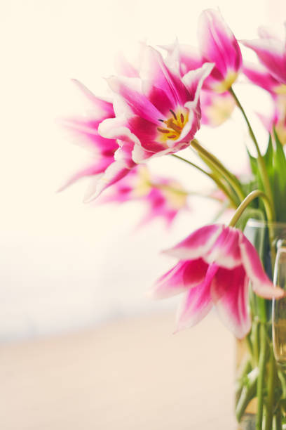 istock Pink tulips in a vase 947303904