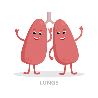 Ilustración de Pulmones Sanos Fuertes Dibujos Animados De Carácter Aislado Sobre Fondo Blanco Diseño Plano De Pulmones Feliz Icono Vector Ilustración Médica De La Concepto De Órgano Sano y más Vectores Libres Ilustración de Pulmones Sanos Fuertes Dibujos Animados De Carácter Aislado Sobre Fondo Blanco Diseño Plano De Pulmones Feliz Icono Vector Ilustración Médica De La Concepto De Órgano Sano y más Vectores Libres