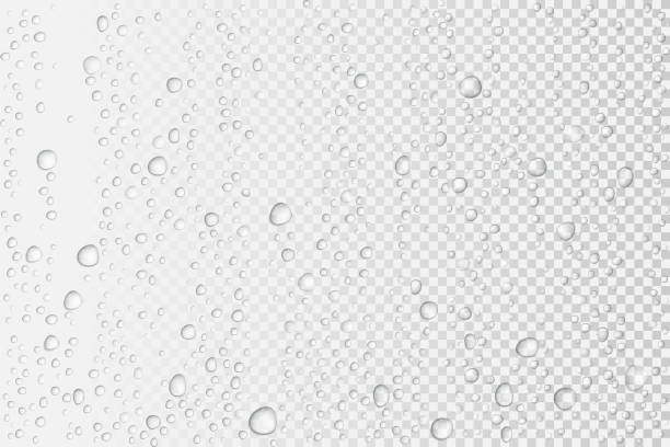 векторная вода падает на стекло. капли дождя на прозрачном фоне - конденсат stock illustrations