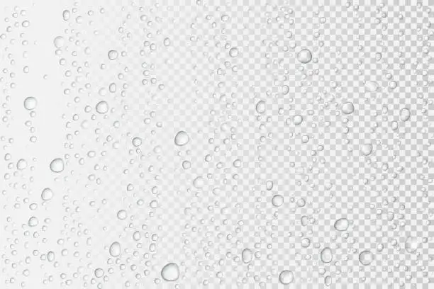 Vector illustration of Vector Water drops on glass. Rain drops on transparent background