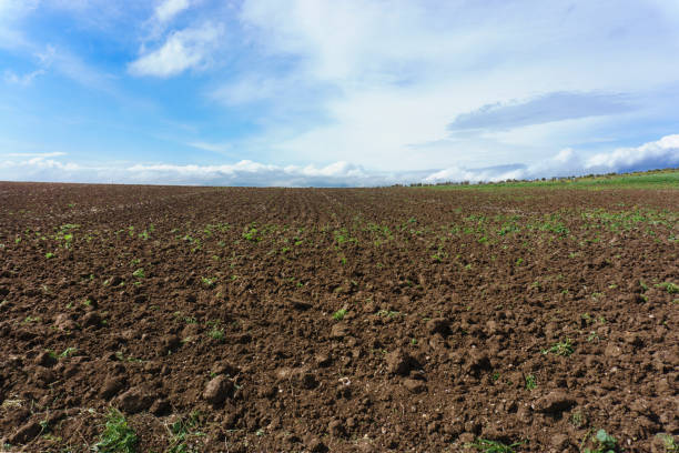 Spring agricultural field over it in blue sky