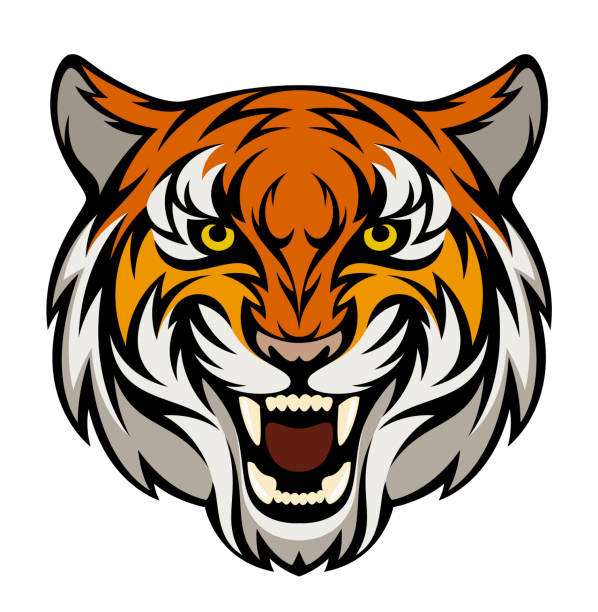 Tiger Head Stock Illustration - Download Image Now - Tiger, Animal Head,  Logo - iStock