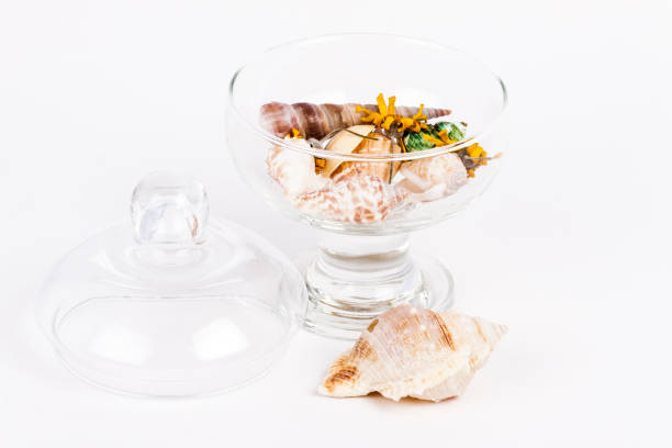 A transparent glass contains flowers and sea shells - Object to decorate the home