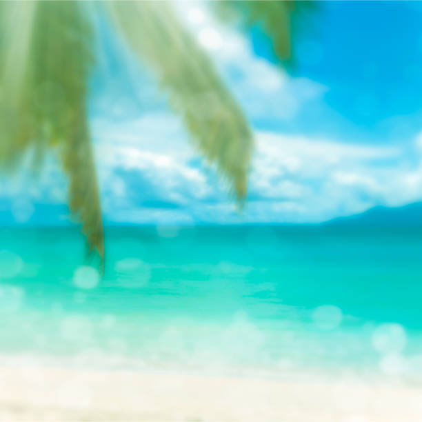 istock Defocused tropical beach. Perfect vacation background. 947331764