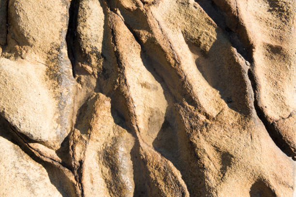 istock Patterns of rock formations at rocky shore or beach 947334812