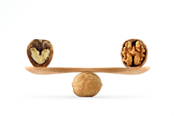 concept of balance between heart and brain illustrated with walnuts - coherence imagens e fotografias de stock