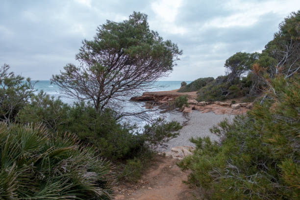 istock The renega in Oropesa del Mar, Castellon 947336250