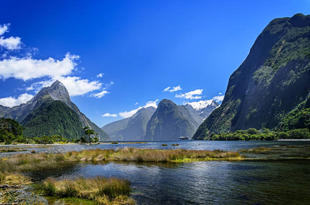 Milford Sound. New Zealand Milford Sound. Fiordland national park, New Zealand milford sound stock pictures, royalty-free photos & images