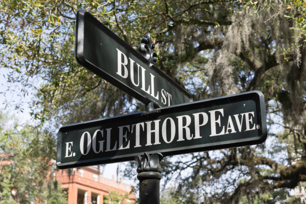 istock Oglethorpe and Bull Street, Savannah, Georgia 947339892