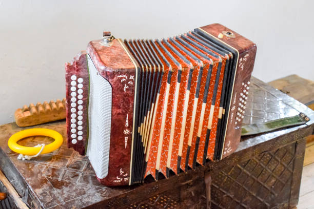 istock The accordion is in its own case 947340368