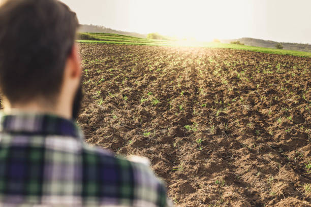istock Farmer standing in a wheat field 947344614