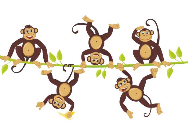 20,488 Funny Monkey Illustrations & Clip Art - iStock | Funny monkey white background 20,488 Funny Monkey Illustrations & Clip Art - iStock | Funny monkey white background