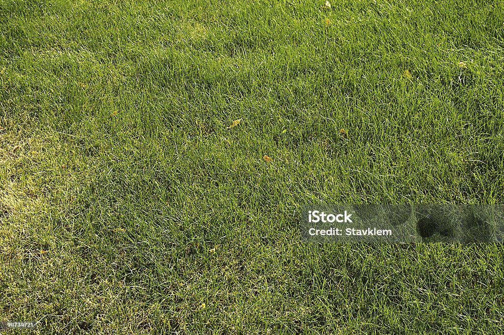 Abstrakt grüne Gras - Lizenzfrei Abstrakt Stock-Foto