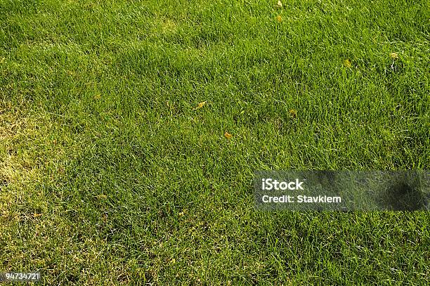 Abstrakt Grüne Gras Stockfoto und mehr Bilder von Abstrakt - Abstrakt, Agrarbetrieb, Bildhintergrund