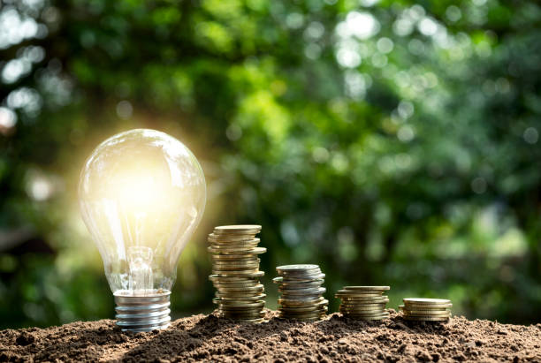 istock lightbulb concept with coins be side on the soil under garden green background. 947349684