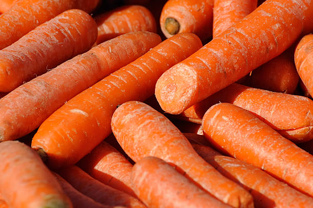 carrots stock photo