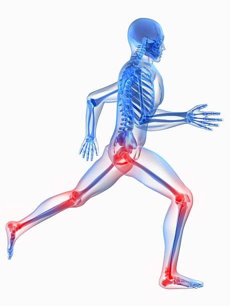 douleur articulations - x ray human knee orthopedic equipment human bone photos et images de collection