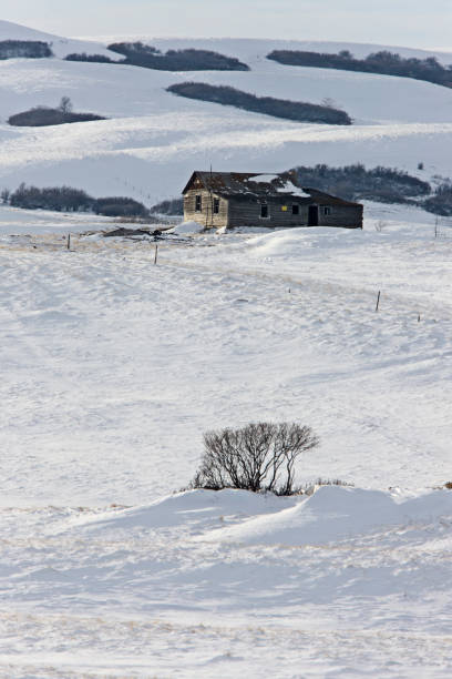 paisagem do inverno prairie - prairie farm winter snow - fotografias e filmes do acervo