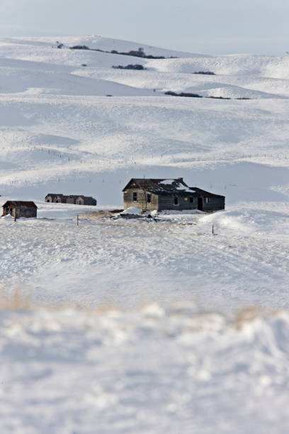 paisagem do inverno prairie - prairie farm winter snow - fotografias e filmes do acervo